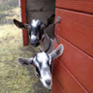 Meet your Posher, Jack